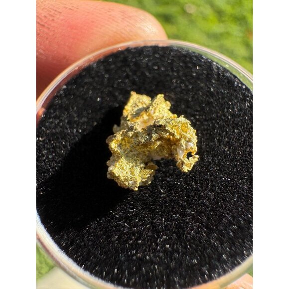 California Native Gold Crystal - 0.80 grams - Picture 6 of 7